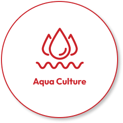 Aquaculture